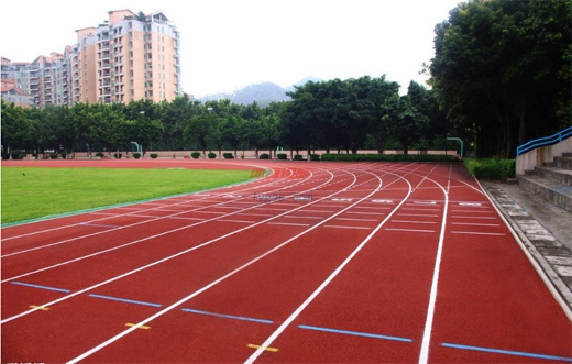 多彩校园体育节跃动青春展活力(图1)