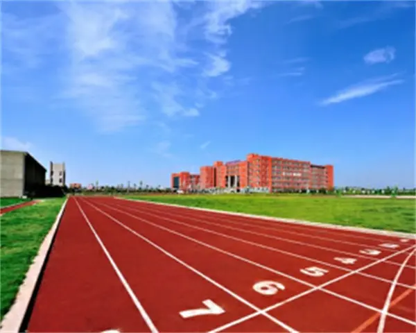 塑胶跑道立新体育设施工程操场塑胶跑道施工(图1)